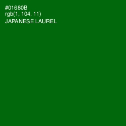 #01680B - Japanese Laurel Color Image