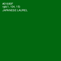 #01680F - Japanese Laurel Color Image