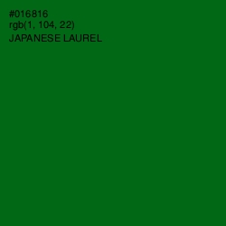 #016816 - Japanese Laurel Color Image