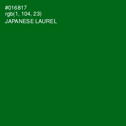 #016817 - Japanese Laurel Color Image