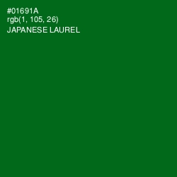 #01691A - Japanese Laurel Color Image