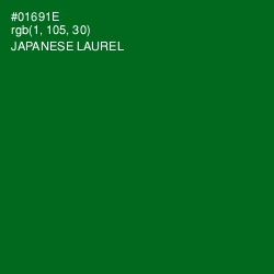 #01691E - Japanese Laurel Color Image