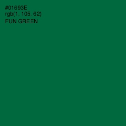 #01693E - Fun Green Color Image