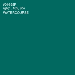 #01695F - Watercourse Color Image