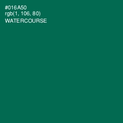 #016A50 - Watercourse Color Image