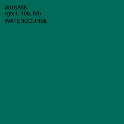 #016A58 - Watercourse Color Image