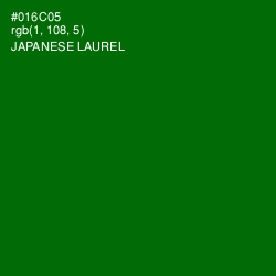 #016C05 - Japanese Laurel Color Image