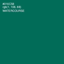 #016C58 - Watercourse Color Image