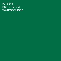 #016E46 - Watercourse Color Image