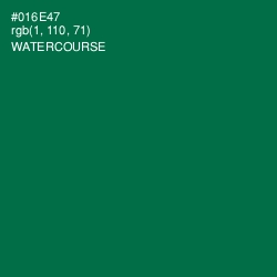 #016E47 - Watercourse Color Image