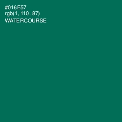 #016E57 - Watercourse Color Image