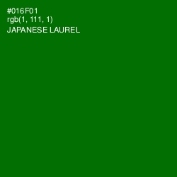 #016F01 - Japanese Laurel Color Image