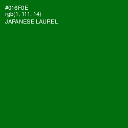 #016F0E - Japanese Laurel Color Image