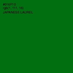 #016F10 - Japanese Laurel Color Image