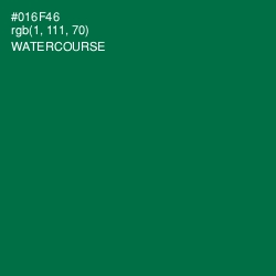 #016F46 - Watercourse Color Image