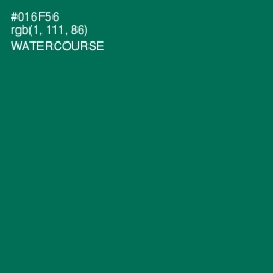 #016F56 - Watercourse Color Image