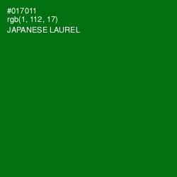 #017011 - Japanese Laurel Color Image