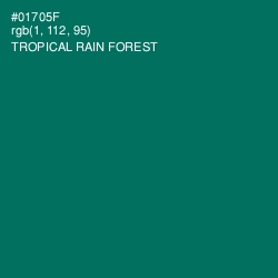 #01705F - Tropical Rain Forest Color Image