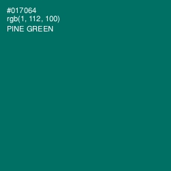 #017064 - Pine Green Color Image