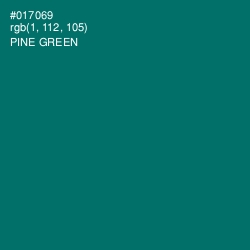 #017069 - Pine Green Color Image