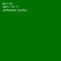 #017101 - Japanese Laurel Color Image