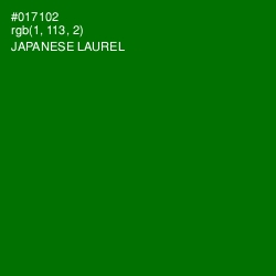 #017102 - Japanese Laurel Color Image