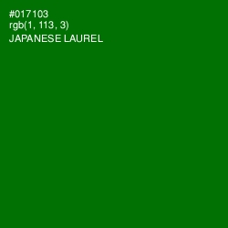 #017103 - Japanese Laurel Color Image