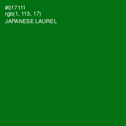 #017111 - Japanese Laurel Color Image