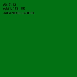 #017113 - Japanese Laurel Color Image