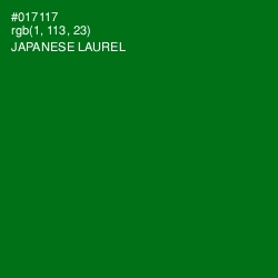 #017117 - Japanese Laurel Color Image