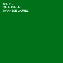 #017119 - Japanese Laurel Color Image