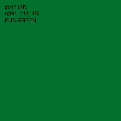 #01712D - Fun Green Color Image