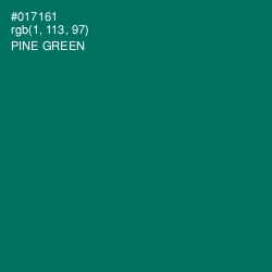 #017161 - Pine Green Color Image