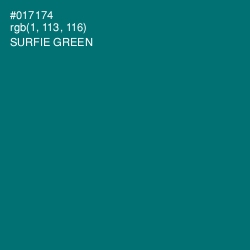 #017174 - Surfie Green Color Image