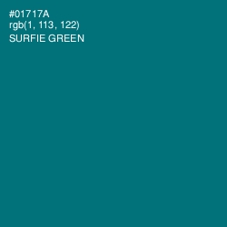 #01717A - Surfie Green Color Image