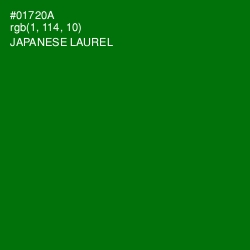 #01720A - Japanese Laurel Color Image