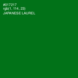 #017217 - Japanese Laurel Color Image