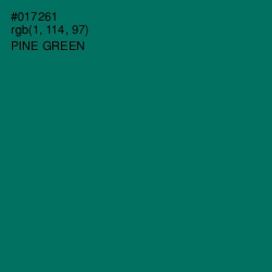 #017261 - Pine Green Color Image