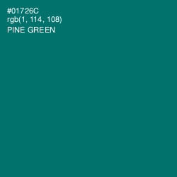 #01726C - Pine Green Color Image