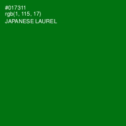 #017311 - Japanese Laurel Color Image