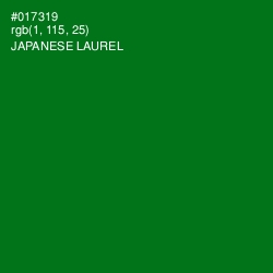 #017319 - Japanese Laurel Color Image