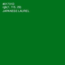 #01731D - Japanese Laurel Color Image