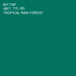 #01735F - Tropical Rain Forest Color Image