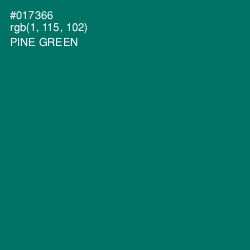 #017366 - Pine Green Color Image