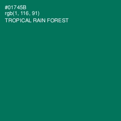 #01745B - Tropical Rain Forest Color Image