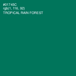 #01745C - Tropical Rain Forest Color Image