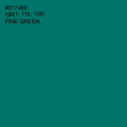 #017469 - Pine Green Color Image