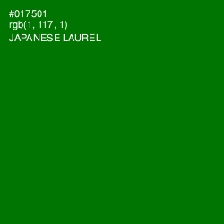 #017501 - Japanese Laurel Color Image