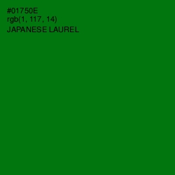 #01750E - Japanese Laurel Color Image