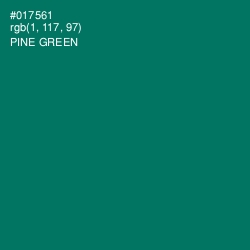 #017561 - Pine Green Color Image